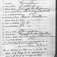 Katie Wollner's Marriage Certificate. 