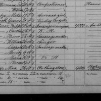 Koppel Wollner in NYC 1870 census. 