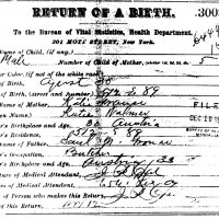 William Grouse Birth Certificate August 1880. 